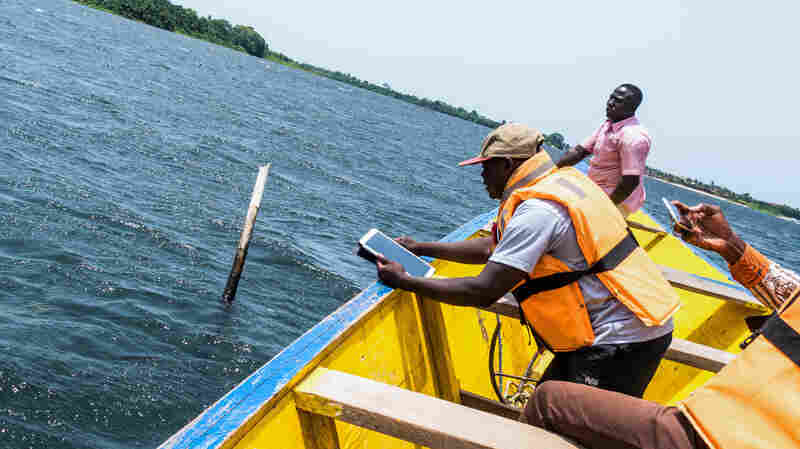 Why Ghana's Clam Farmers Are Digging GPS
