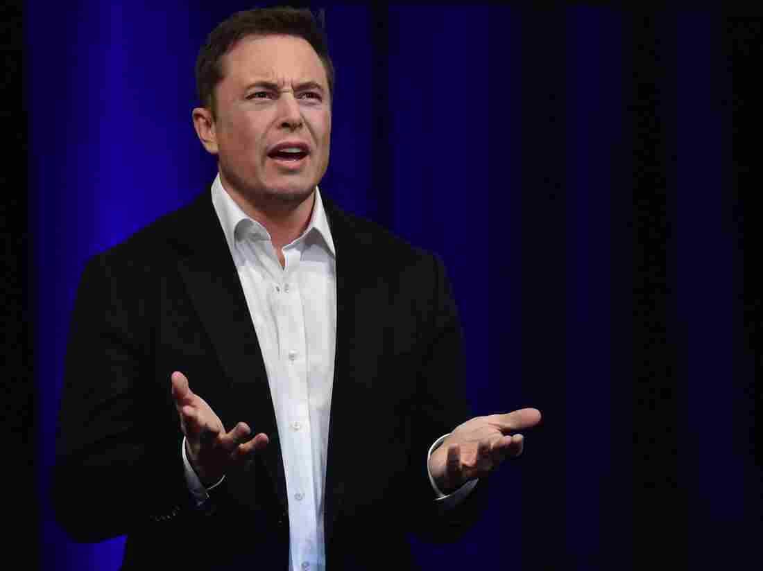 Elon What?