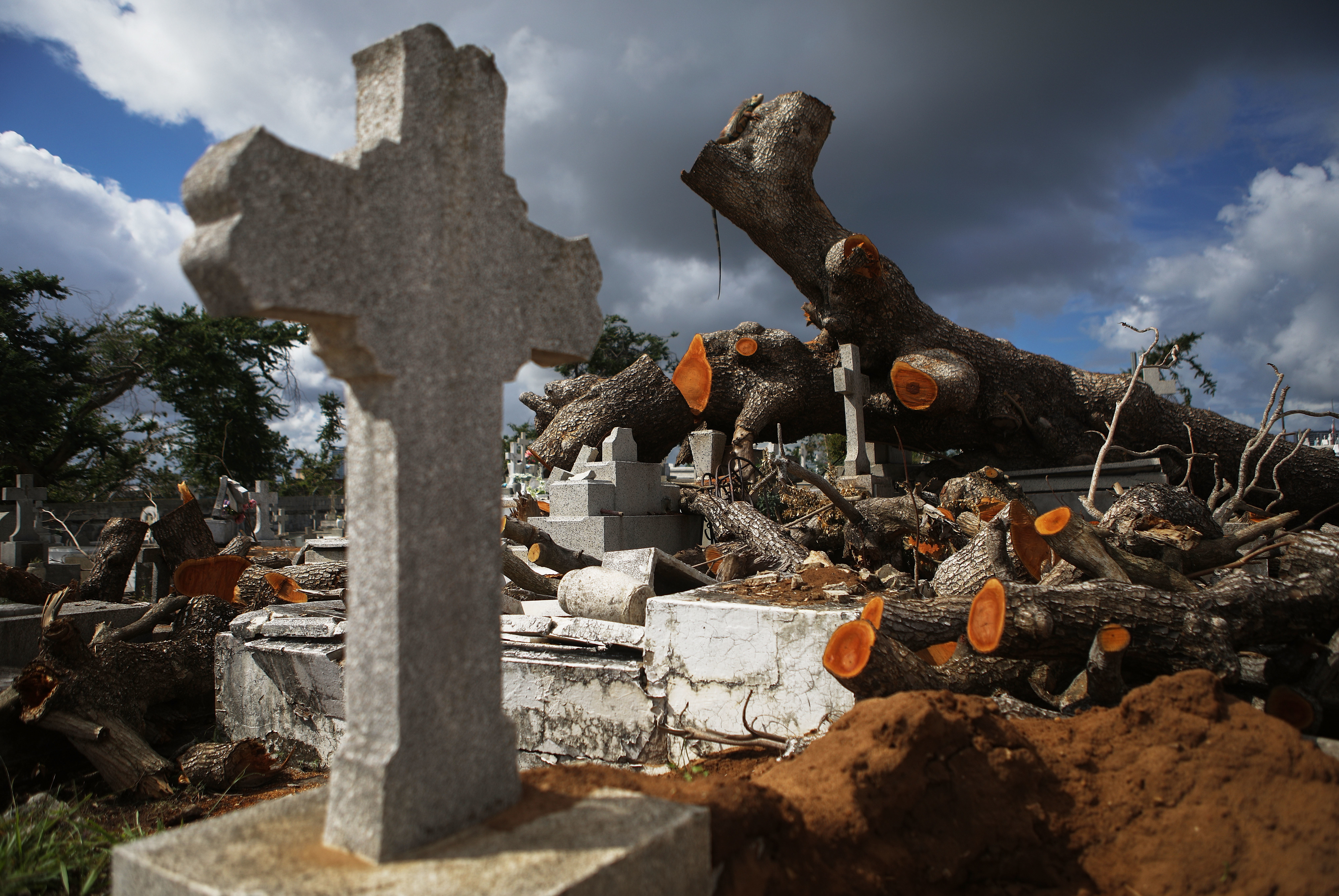 A tree toppled by Hurricane Maria rests over damaged graves in the Villa Palmeras cemetery in San Juan, Puerto Rico, in December 2017. (Getty Images)