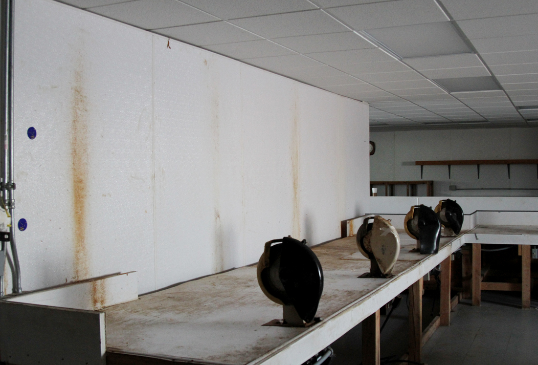 Alaska Native Tannery Is Bringing Seal Back NPR