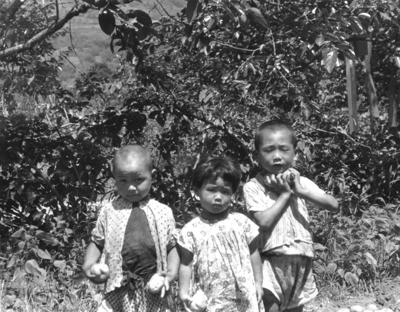 The Quiet Rage Of Mazie Hirono : NPR