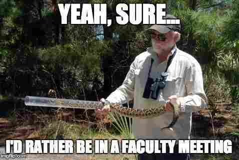 Dr. Harry Greene Meme