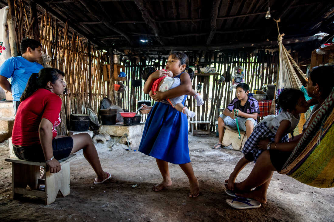 Families In A Maya Village In Mexico May Have The Secret To Getting Kids To Do Chores Goats and Soda photo image