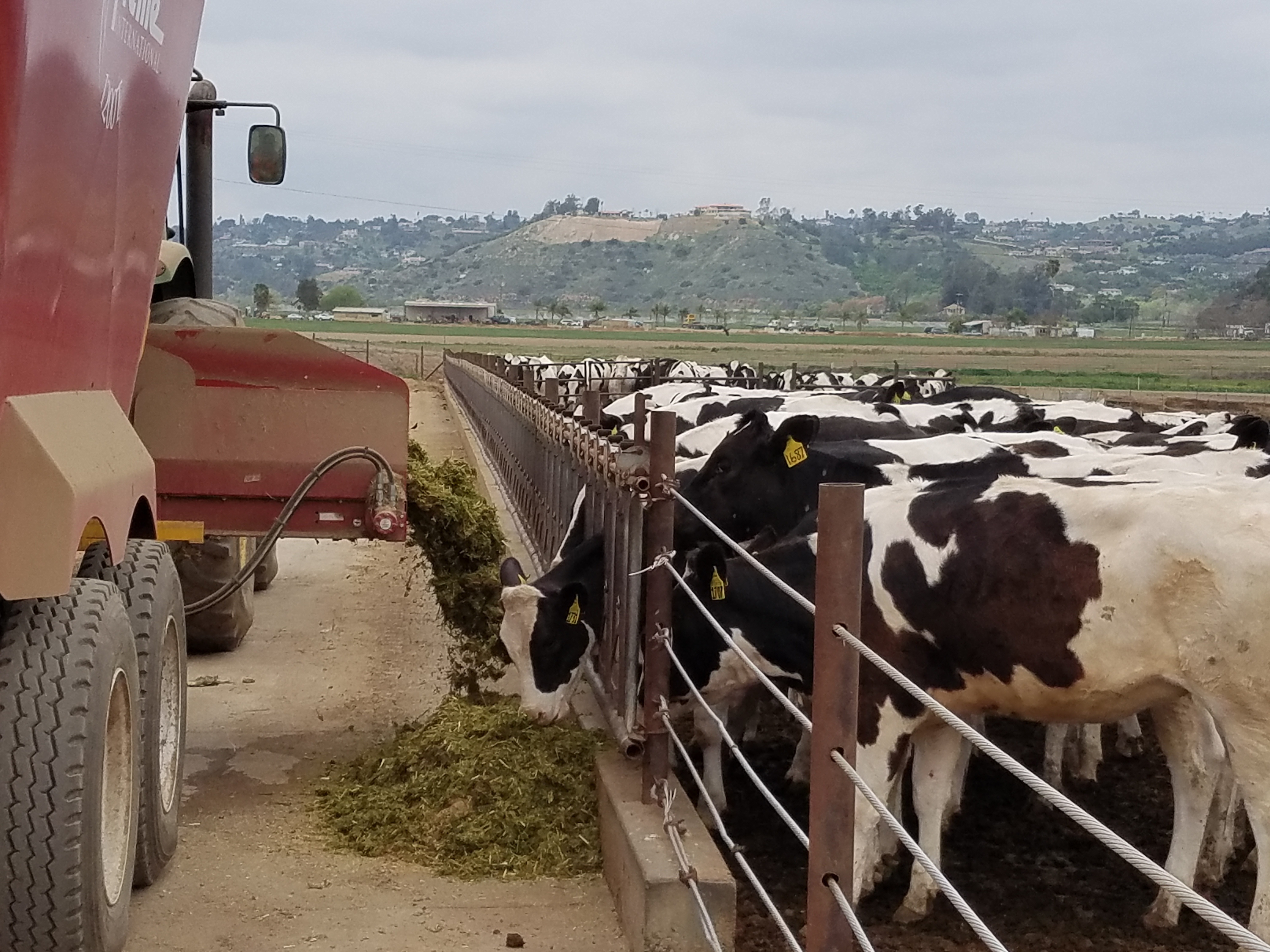 From Craft Breweries To Cows WBUR News
