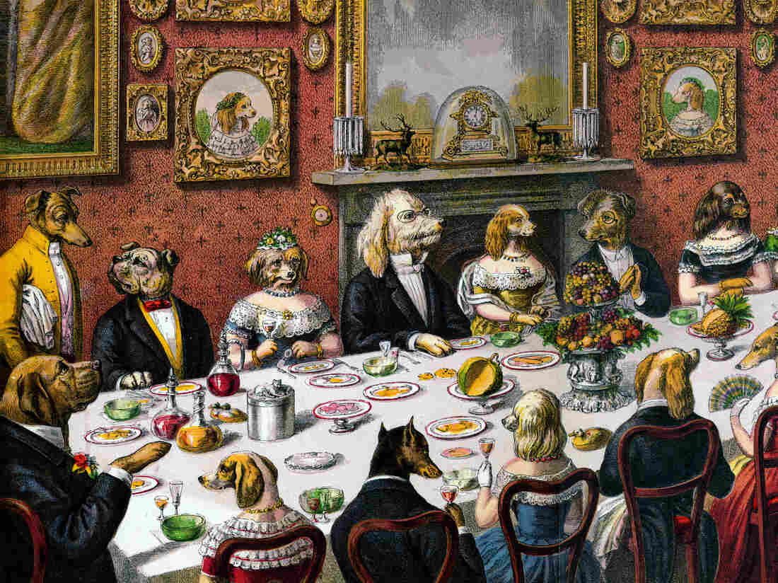 Victorian print of a large dinner party of dogs in formalwear and cat servants; hand-colored engraving, 1893.