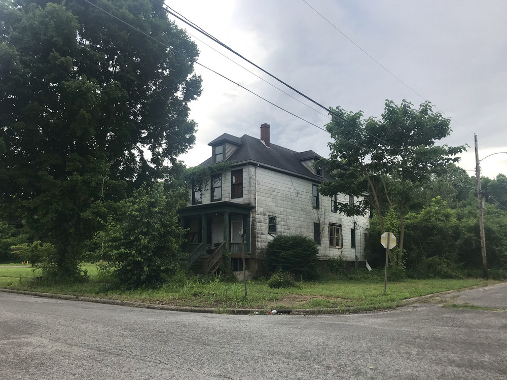 Cairo, Ill. lies at the heart of one of the fastest depopulating regions in America. On some streets, old mansions are abandoned and nature is taking over whole city blocks. (Kirk Siegler/NPR)