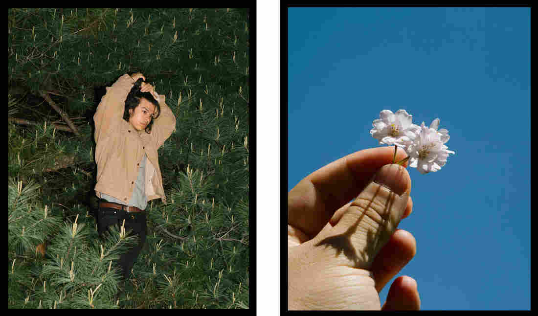 Will Matsuda