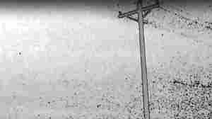 A Viola Sings Of Strength In Sadness