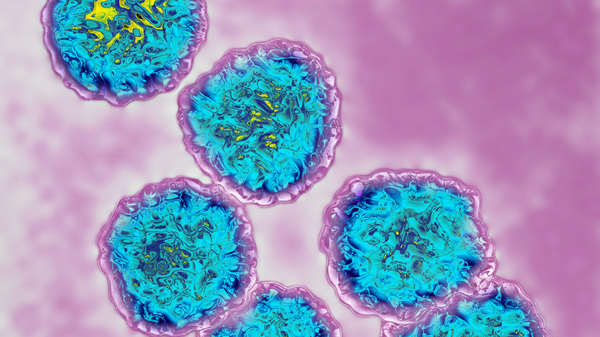Hepatitis C virus is typically transmitted through blood, but an infected person who spits at someone can run afoul of the law in some jurisdictions.