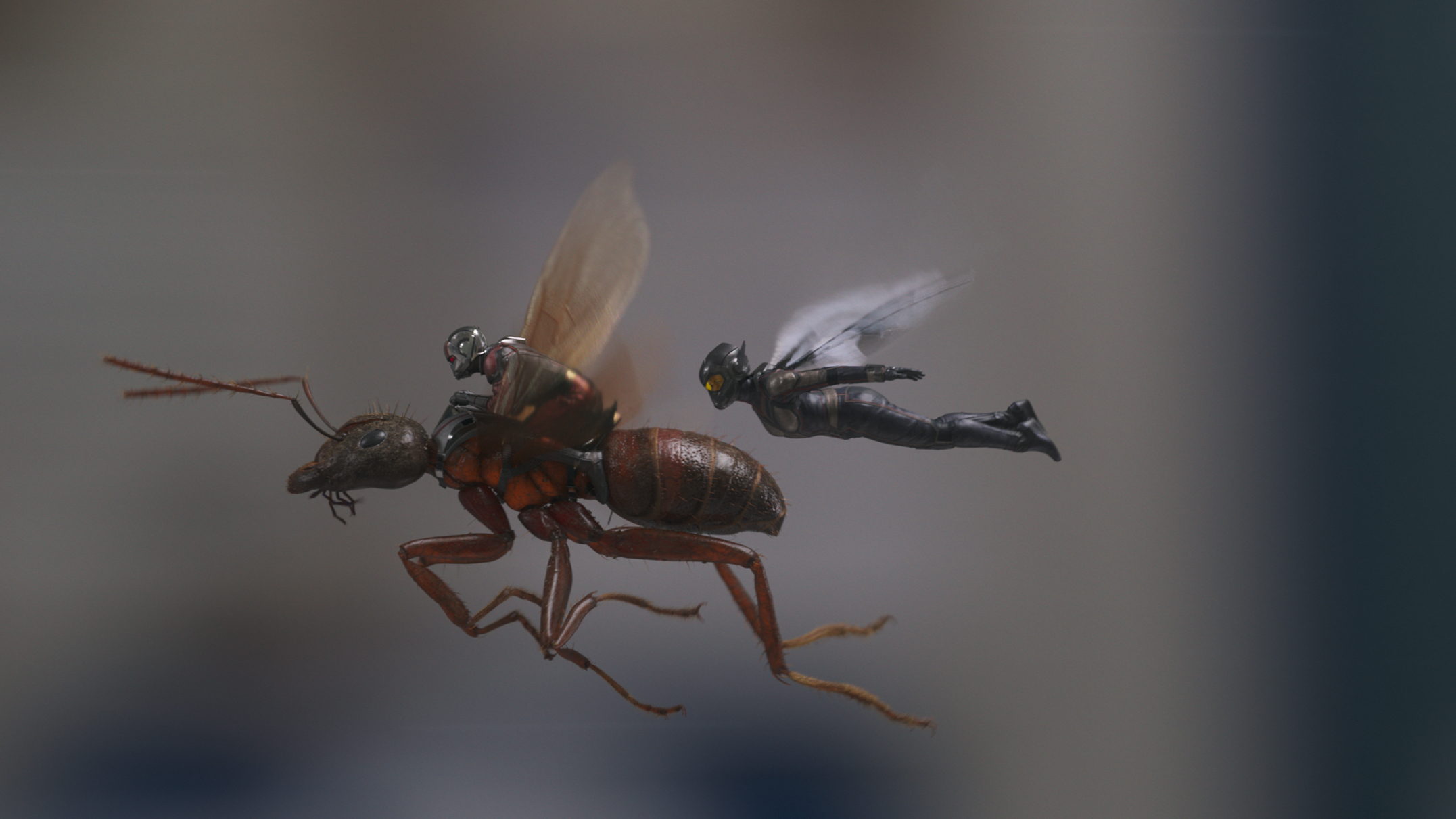 Ant-Man (Paul Rudd, L) and The Wasp (Evangeline Lilly, R) find fighting crime is no picnic in <em>Ant-Man and the Wasp.</em> (Marvel Studios)