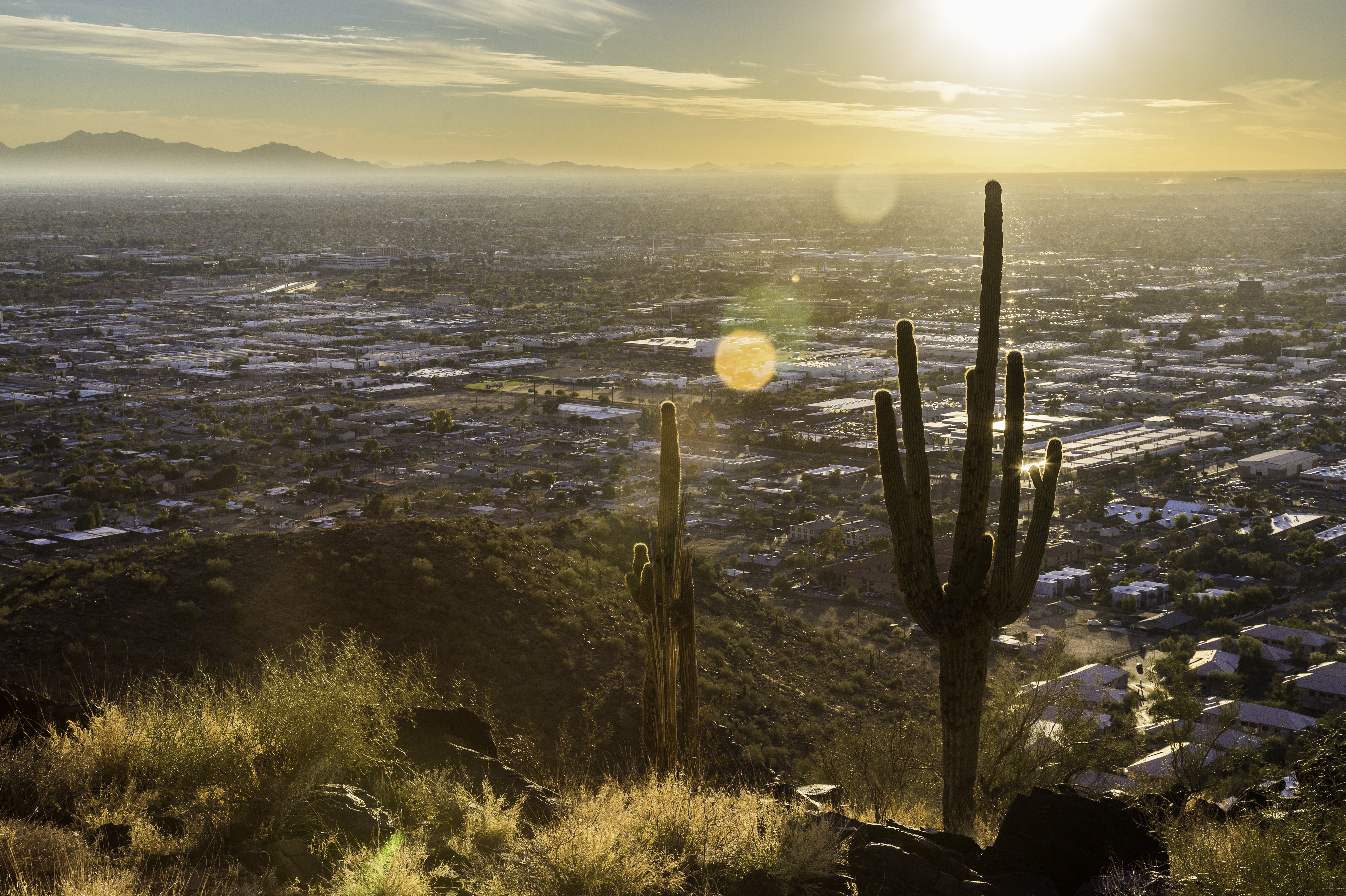 Phoenix Tries To Reverse Its 'Silent Storm' Of Heat Deaths - Vimarsana News
