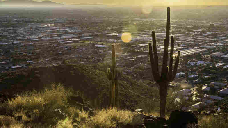 Phoenix Tries To Reverse Its 'Silent Storm' Of Heat Deaths