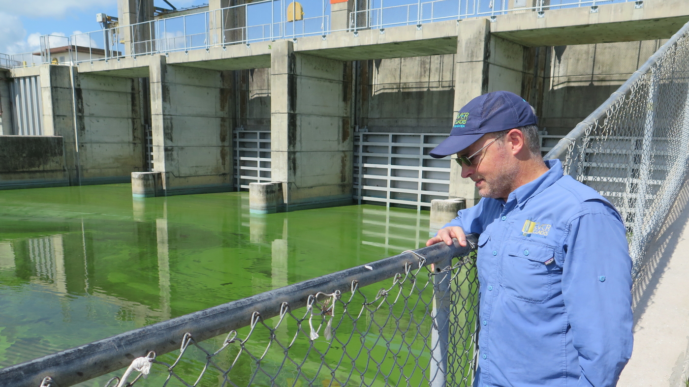 Figure Out How To Cheaply Fix Algae Blooms And Win 10 Million NPR