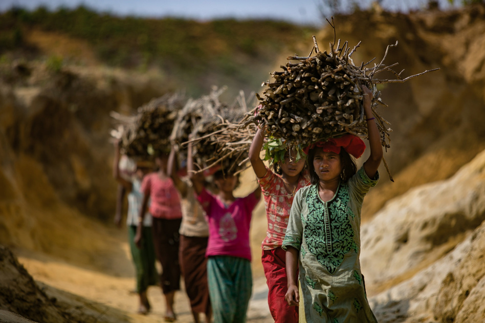 Rohingya children carrying firewood into the Kutupalong camp in Bangladesh. Refugees have stripped almost all the area vegetation to use in cooking fires.