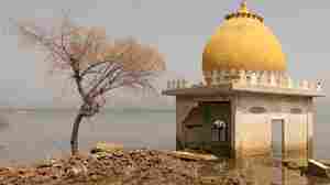 Pictures Of The Motherland He Never Knew