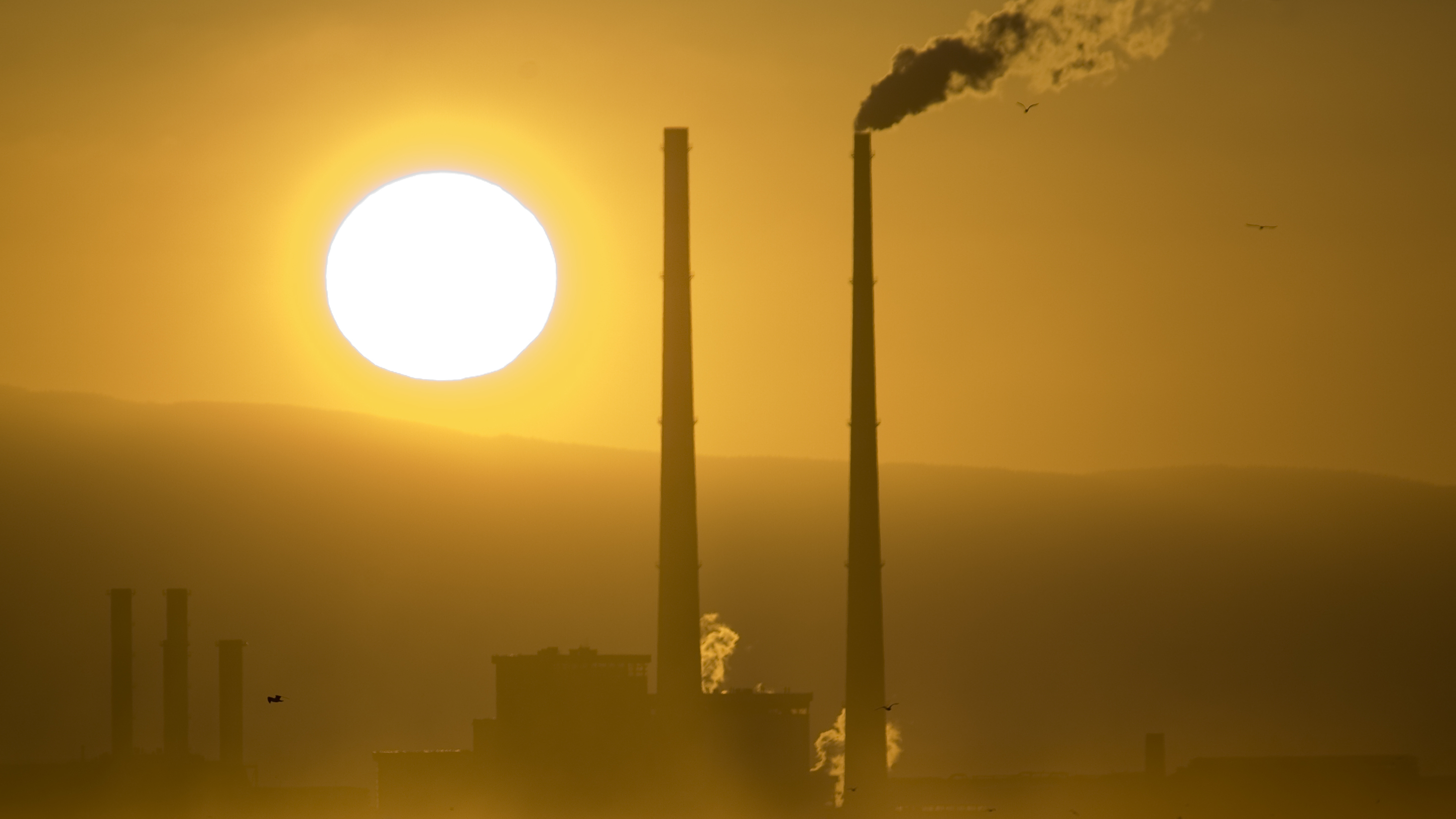 Smokestacks loom over Bull Island, northeast of Dublin, in 2008.