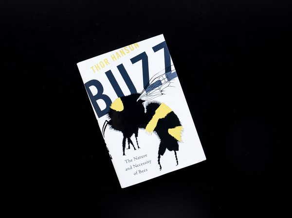 'Buzz' offers an admiration for bees amid continued die-offs