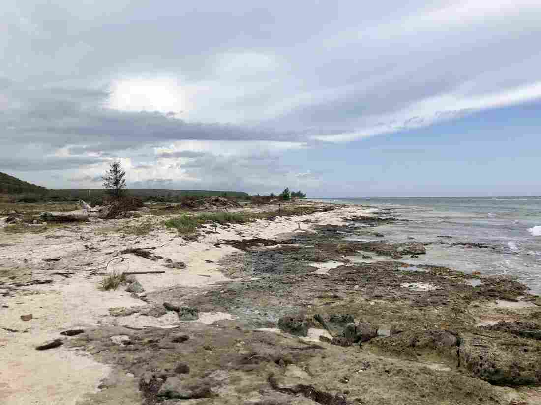 Stolen beach.
