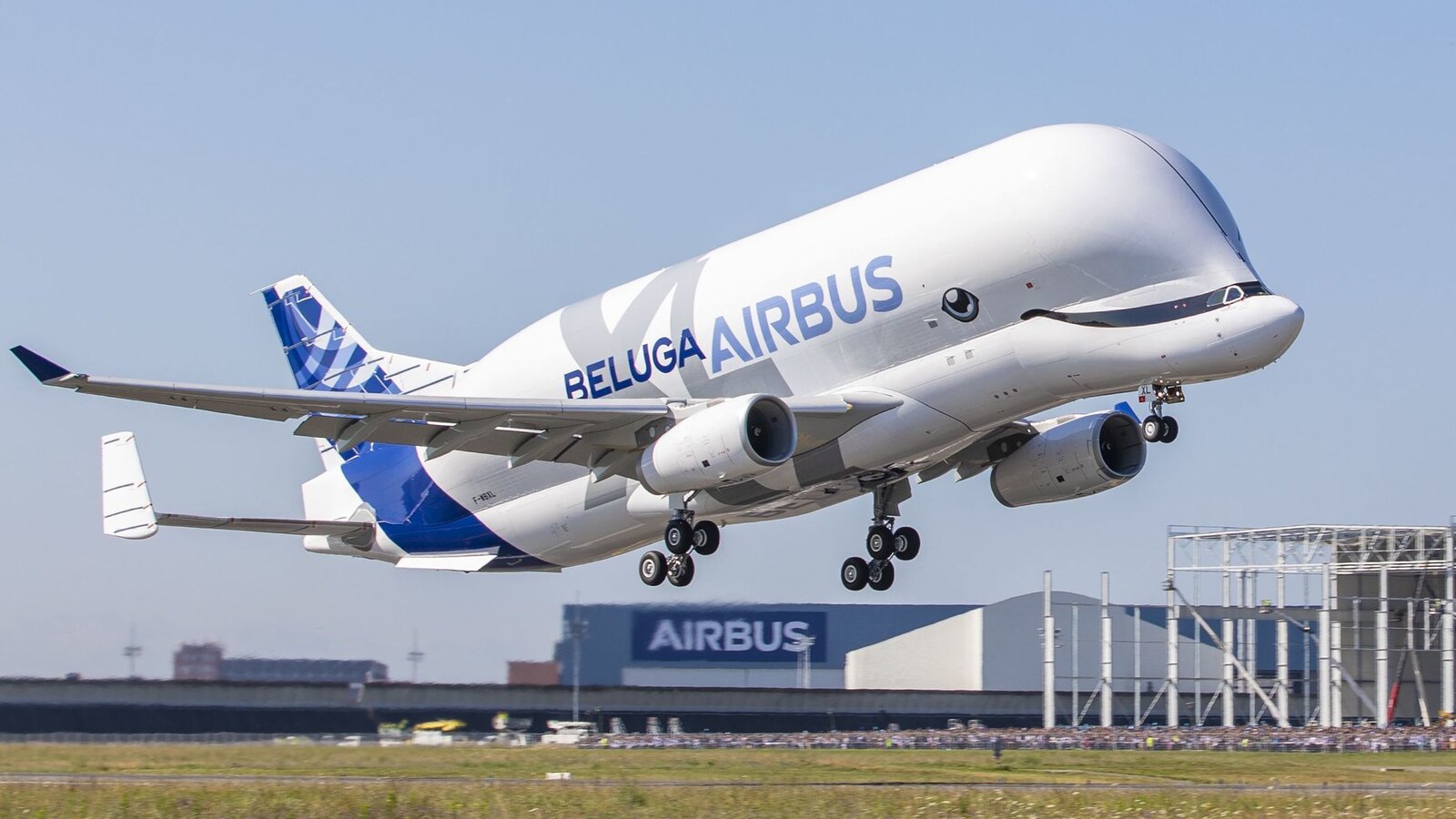 Airbus Beluga Whale Takes Flight For The First Time Democratic airbus-beluga-whale-takes-flight-for-the-first-time-democratic