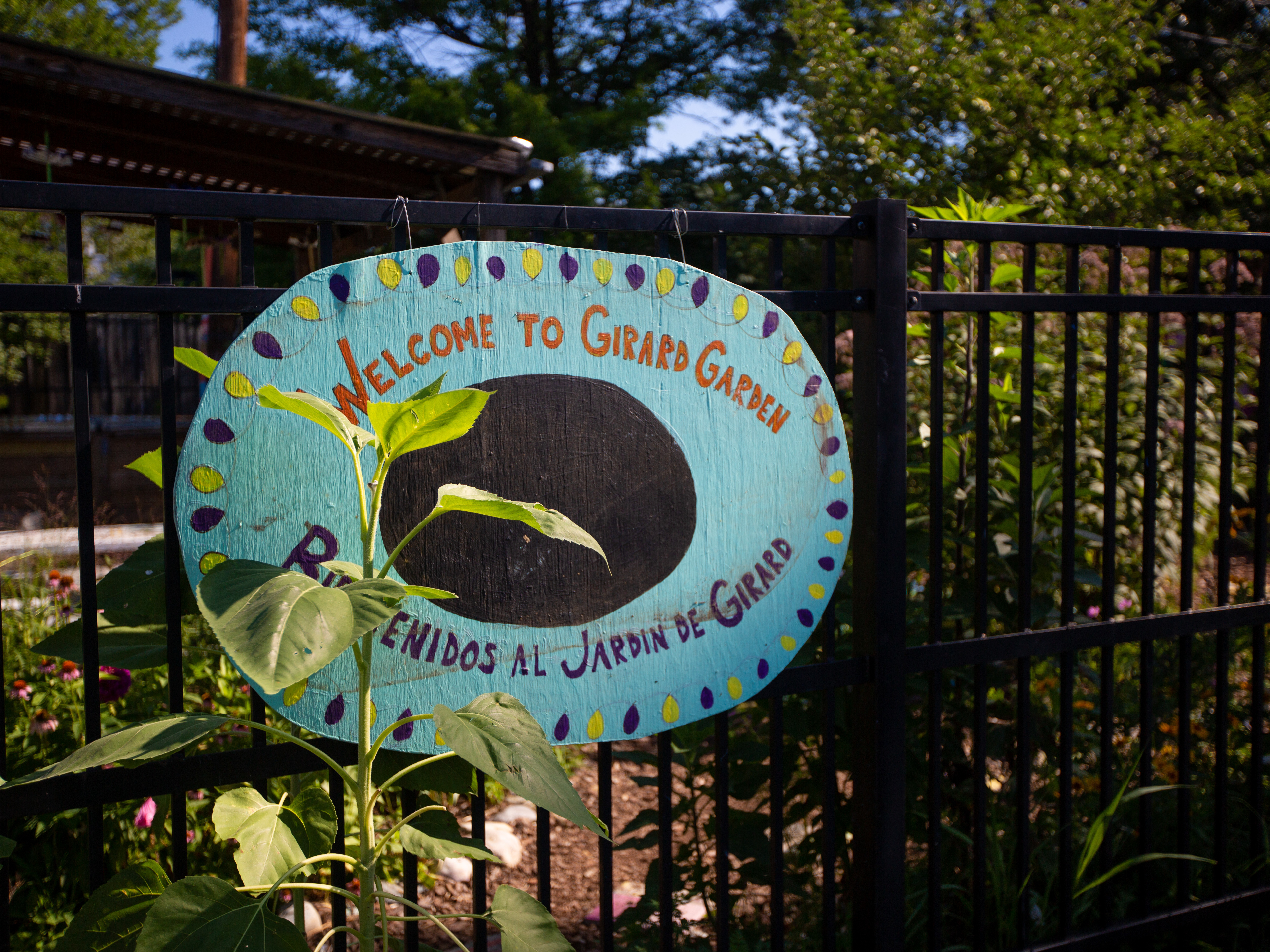Girard Children's Community Garden in Washington, D.C. was created on a vacant lot and is now a thriving community space for neighborhood kids, many of whom are from low-income communities of color. (NPR)