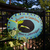 Replacing Vacant Lots With Green Spaces Can Ease Depression In Urban Communities