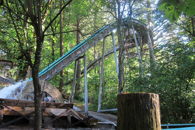 How A Labor Of Love Grew Into An 'Enchanted Forest' In Oregon NPR