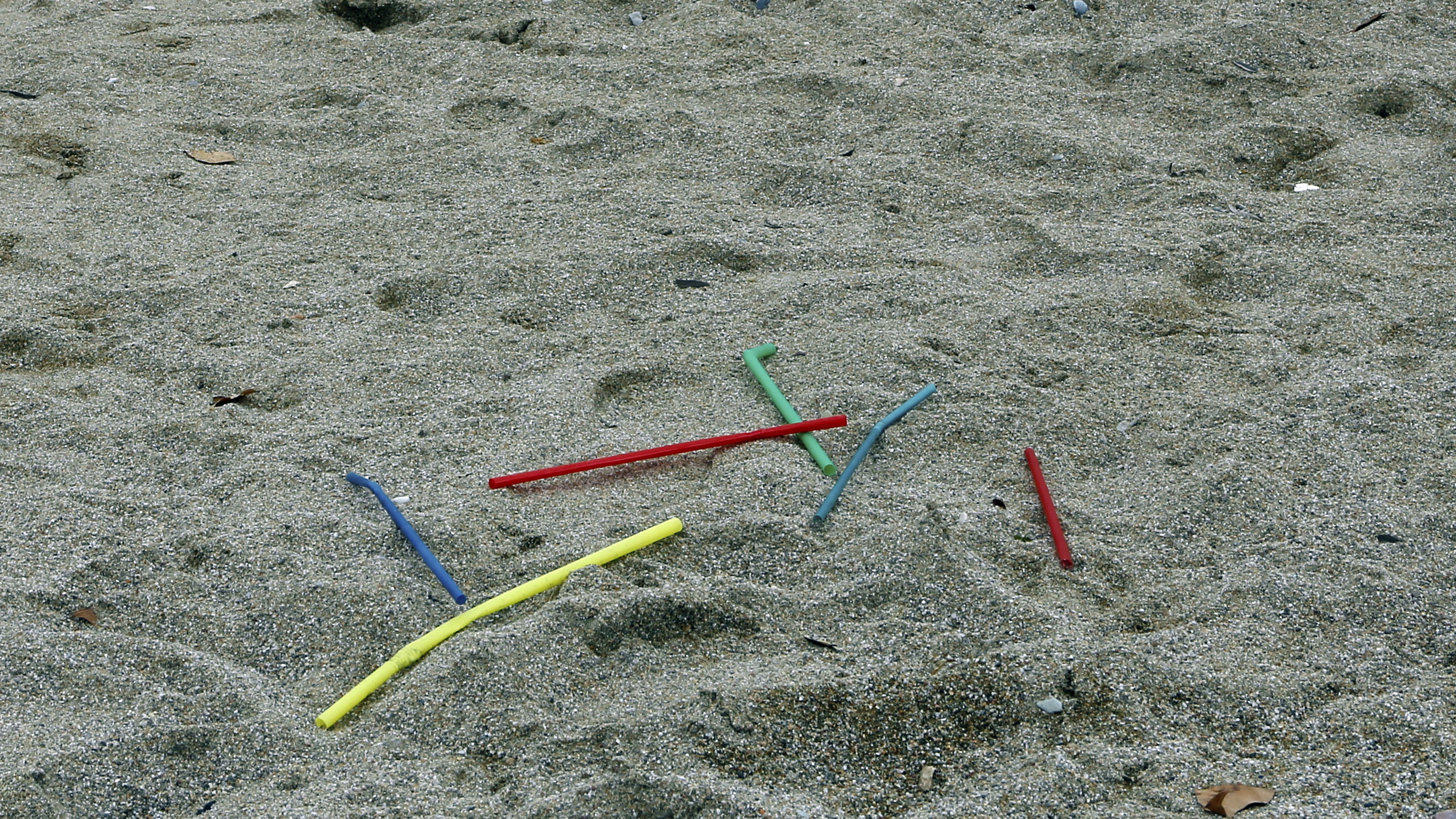 One Child's Outsized Influence On The Debate Over Plastic Straws NPR