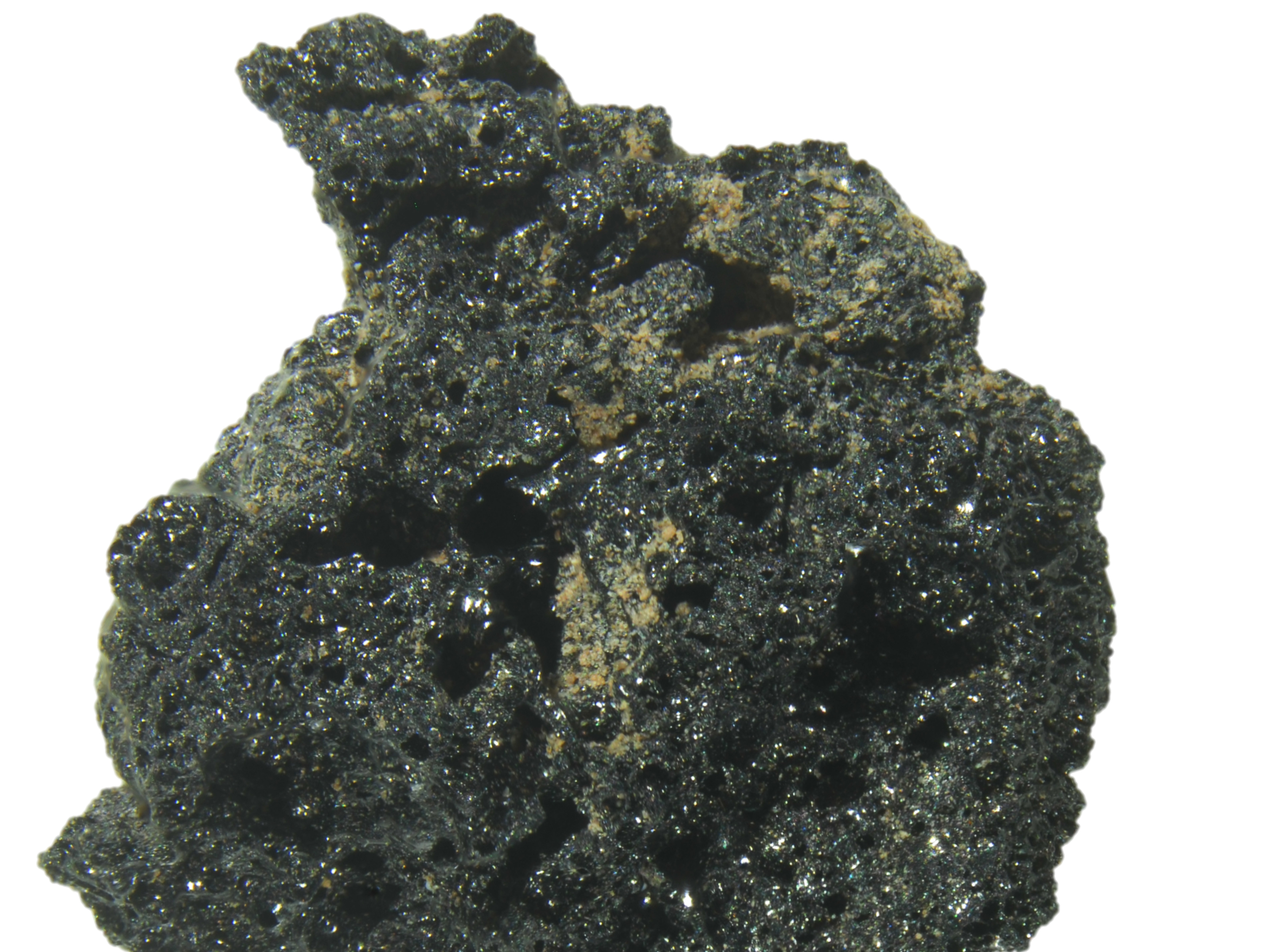 14,000-Year-Old Piece Of Bread Rewrites The History Of Baking And Farming