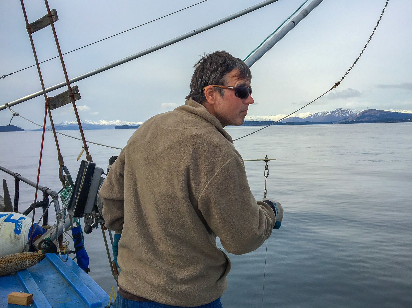 Gulf Of Alaska Cod Are Disappearing. Blame 'The Blob'