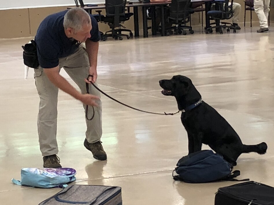Dog Training Near Groveland Ca Dog Training Near Groveland Ca