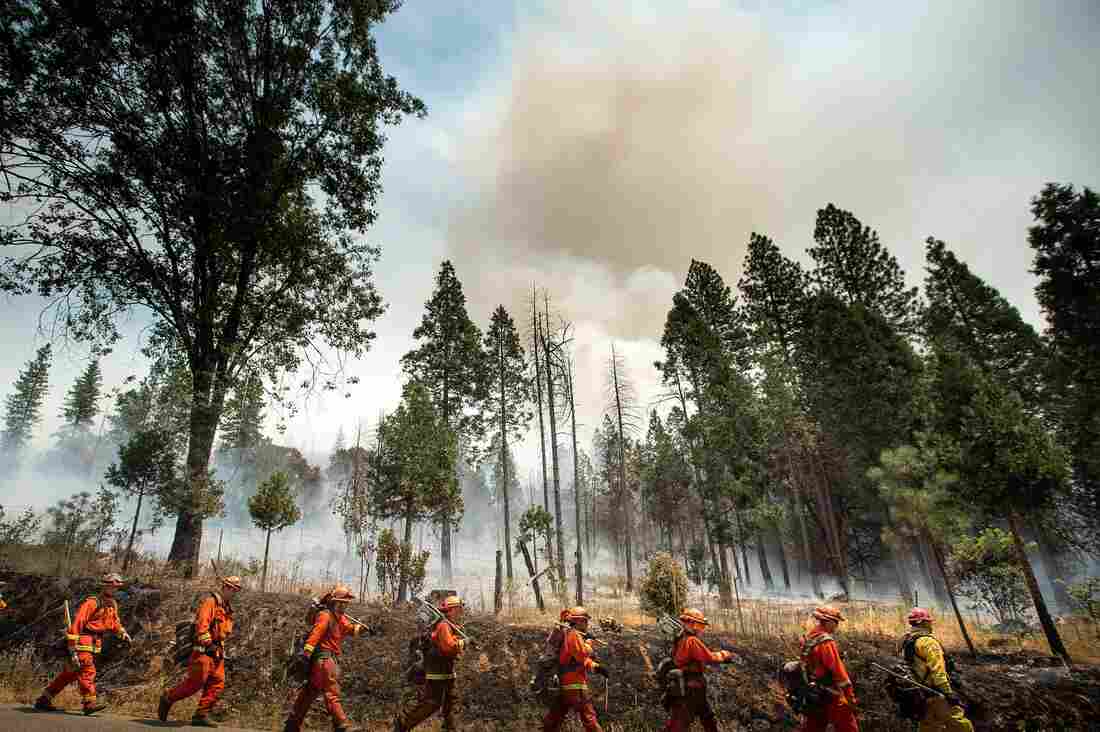 Ferguson Fire swells to 43,299 acres after burning 1,723 acres overnight
