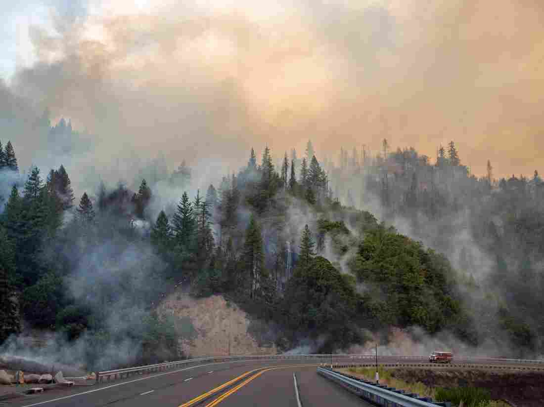 Children, Great-grandmother Die in California Wildfire Children, Great-grandmother Die in California Wildfire