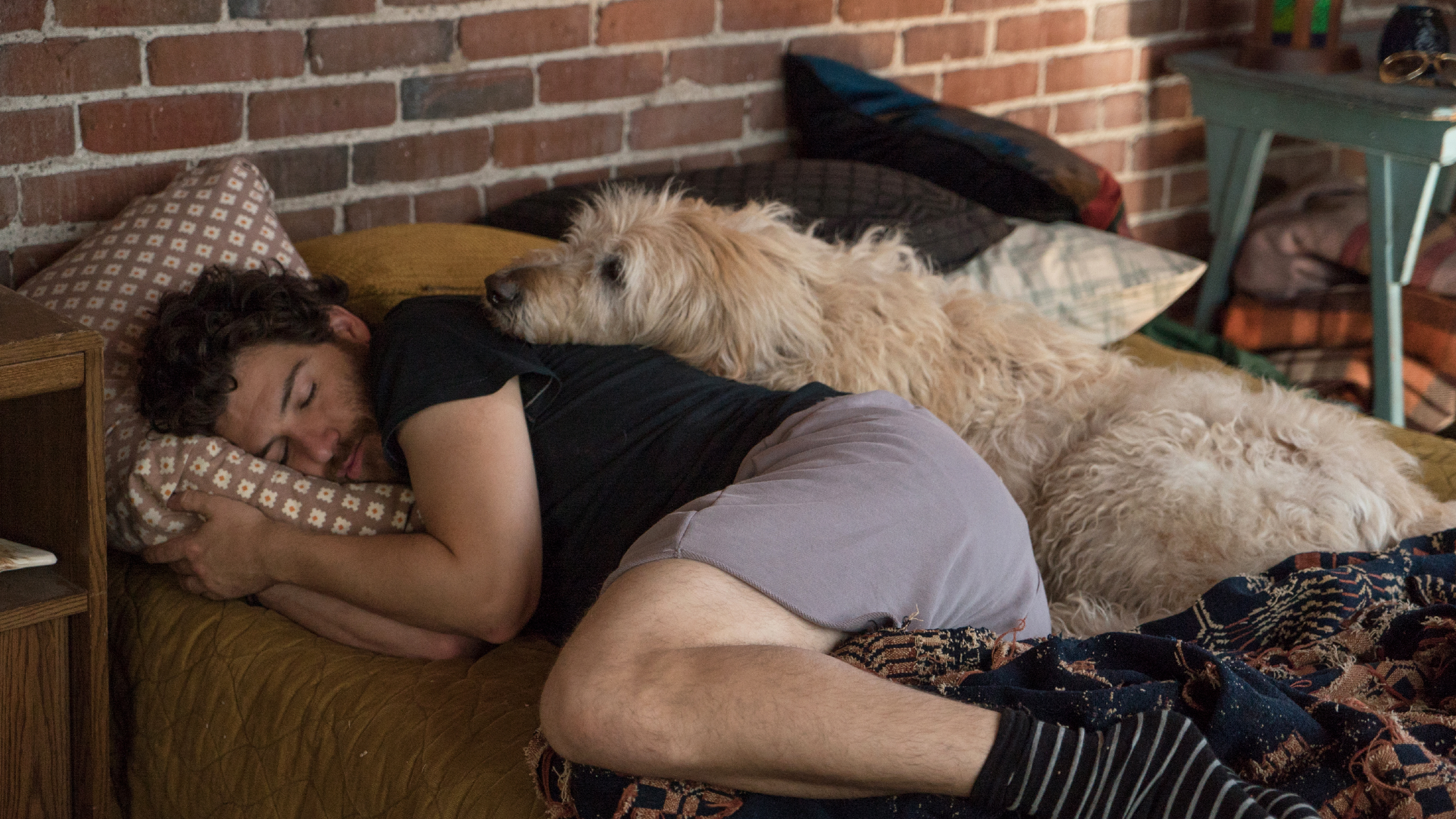 Dax (Adam Pally) and friend/comforter in Dog Days.