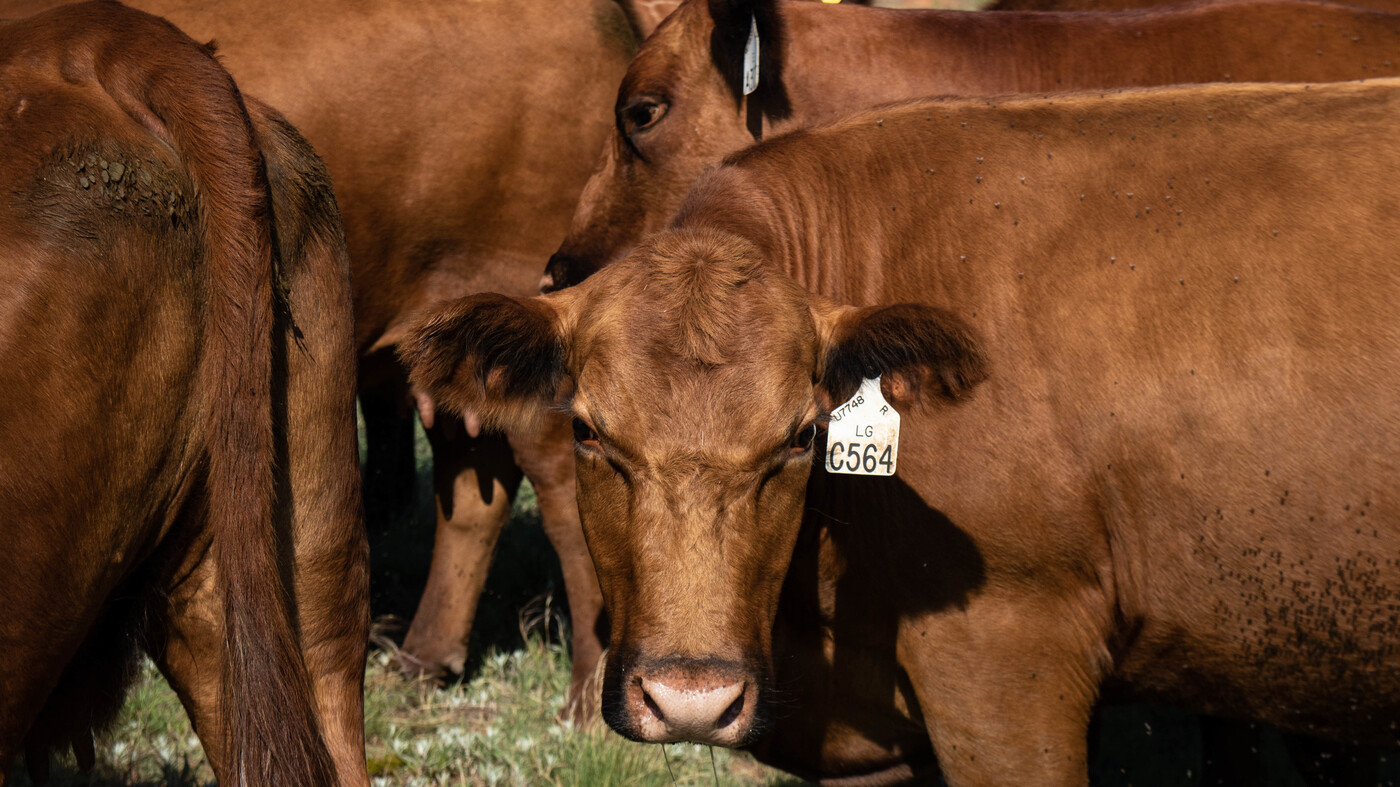 The Arid West Moves East, With Big Implications For Agriculture