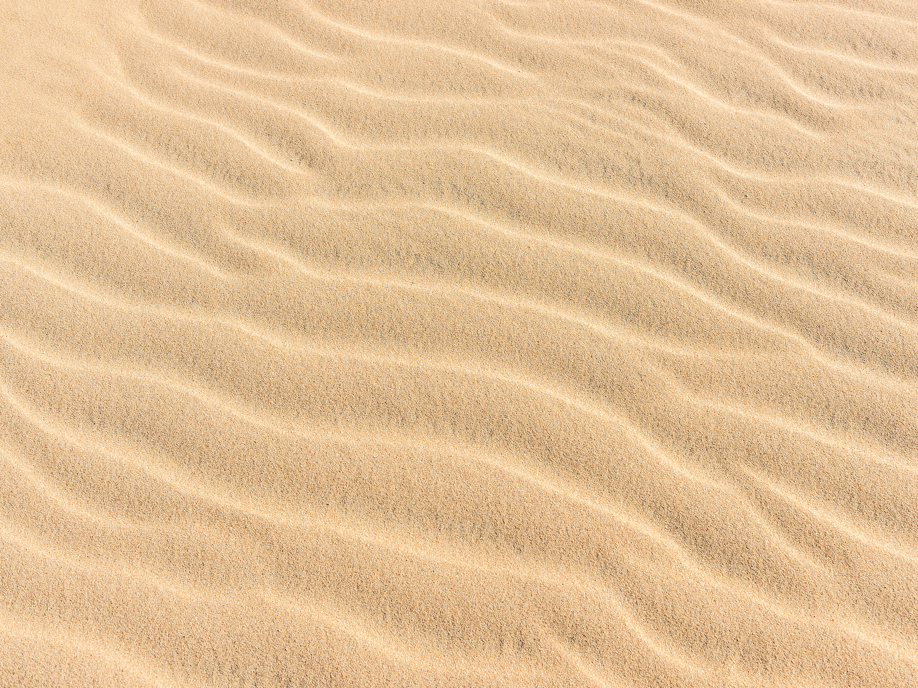 A day at the beach won't be the same after 'The World in a Grain'