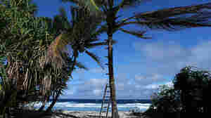 The Indicator Goes To The Beach With Tim Harford