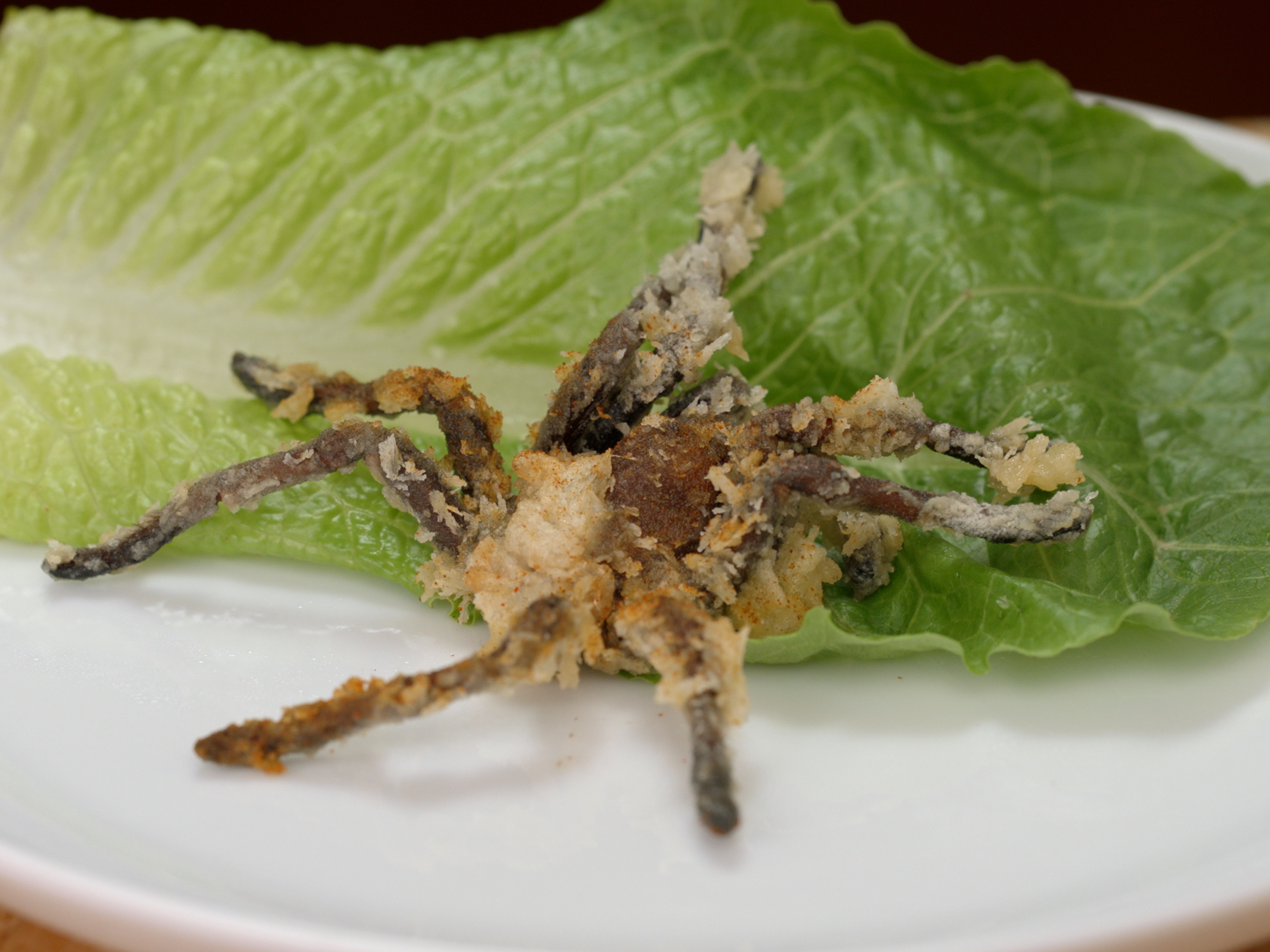 Don't Bug Out! The Smithsonian Channel Is Going To Show You How To Cook ...