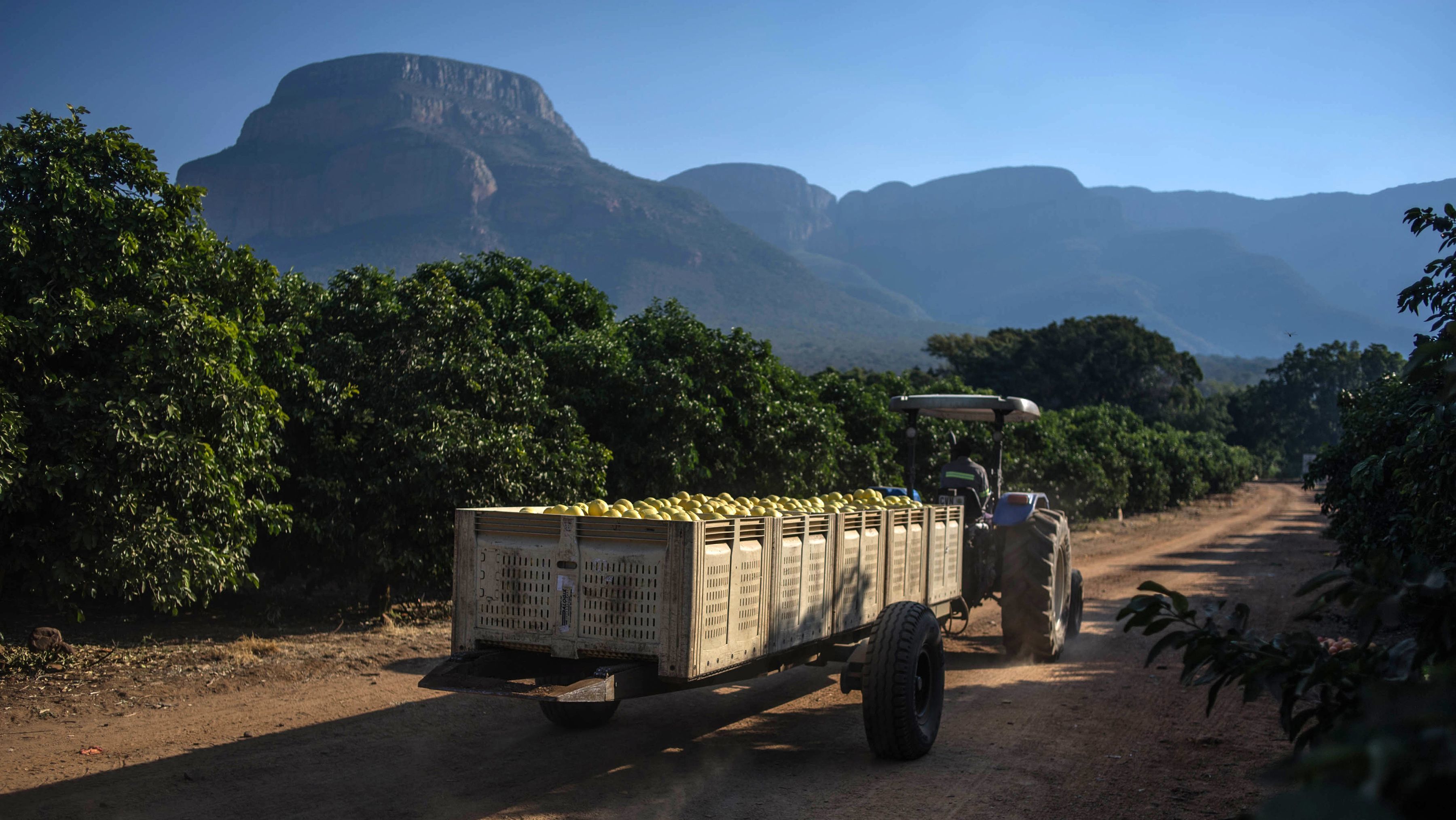 A tractor rides through a farm last year in Hoedspruit, South Africa. It is just one of many plots of land across the country that have been the subject of disputes.