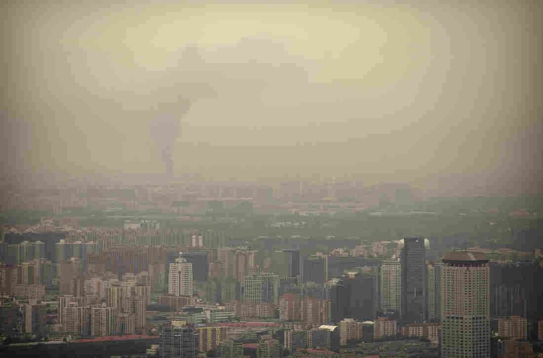 Is Air Pollution Making You Dumber? Yes Says a New Study Is Air Pollution Making You Dumber? Yes Says a New Study