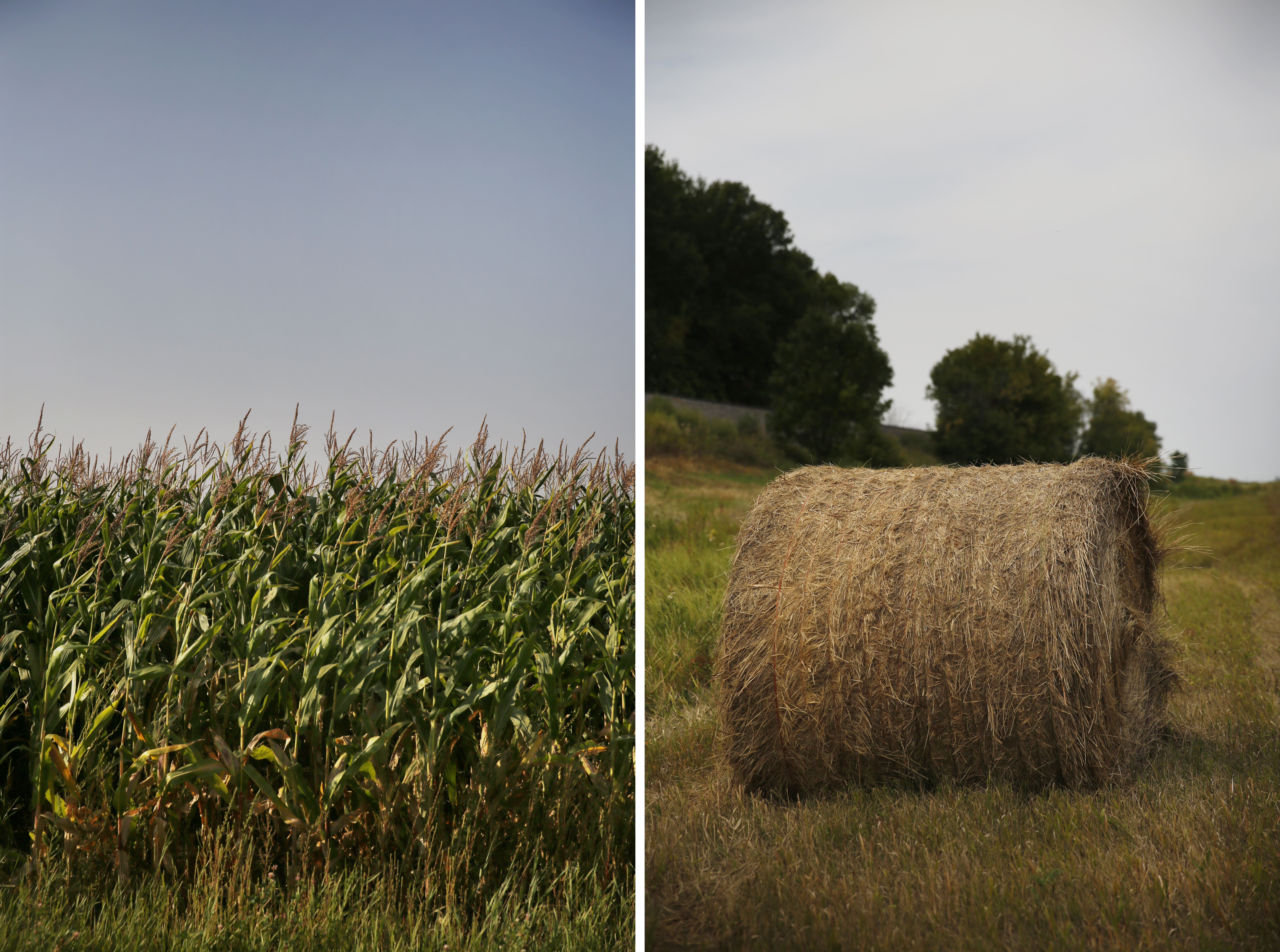 In One Generation, A Farmworker Family Grows College Ambitions 13 North Dakota farmland in and around Minto.