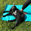 Goat Yoga Is 'Preposterous,' Says Goat Yoga Teacher. It's Also ... Terrific!