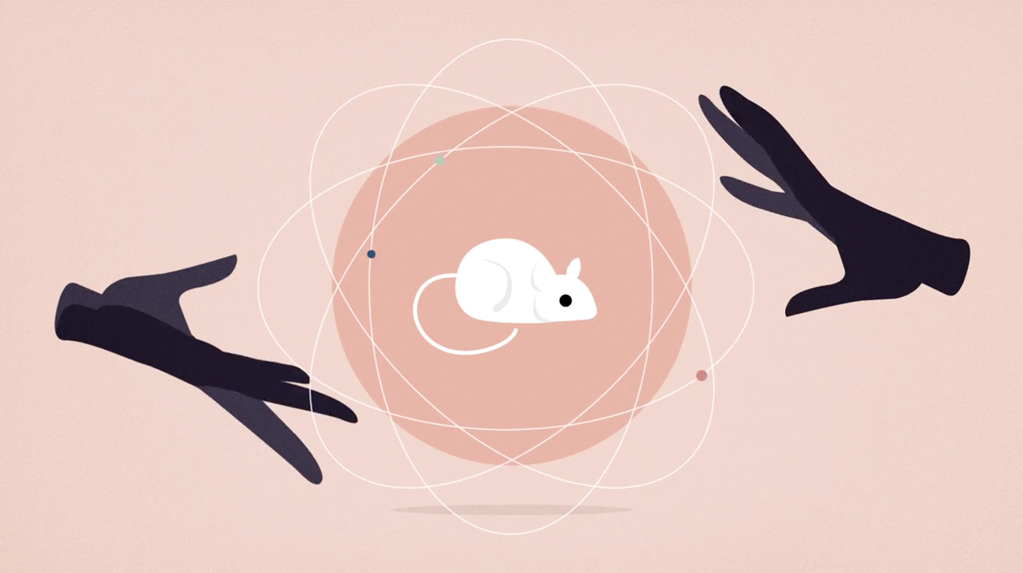 The Power Of Expectations : Shots - Health News : NPR