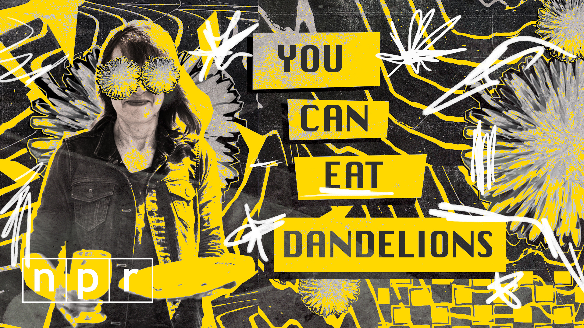 VIDEO: Dandelions Aren't Just Weeds. You Can Fry Them, Too