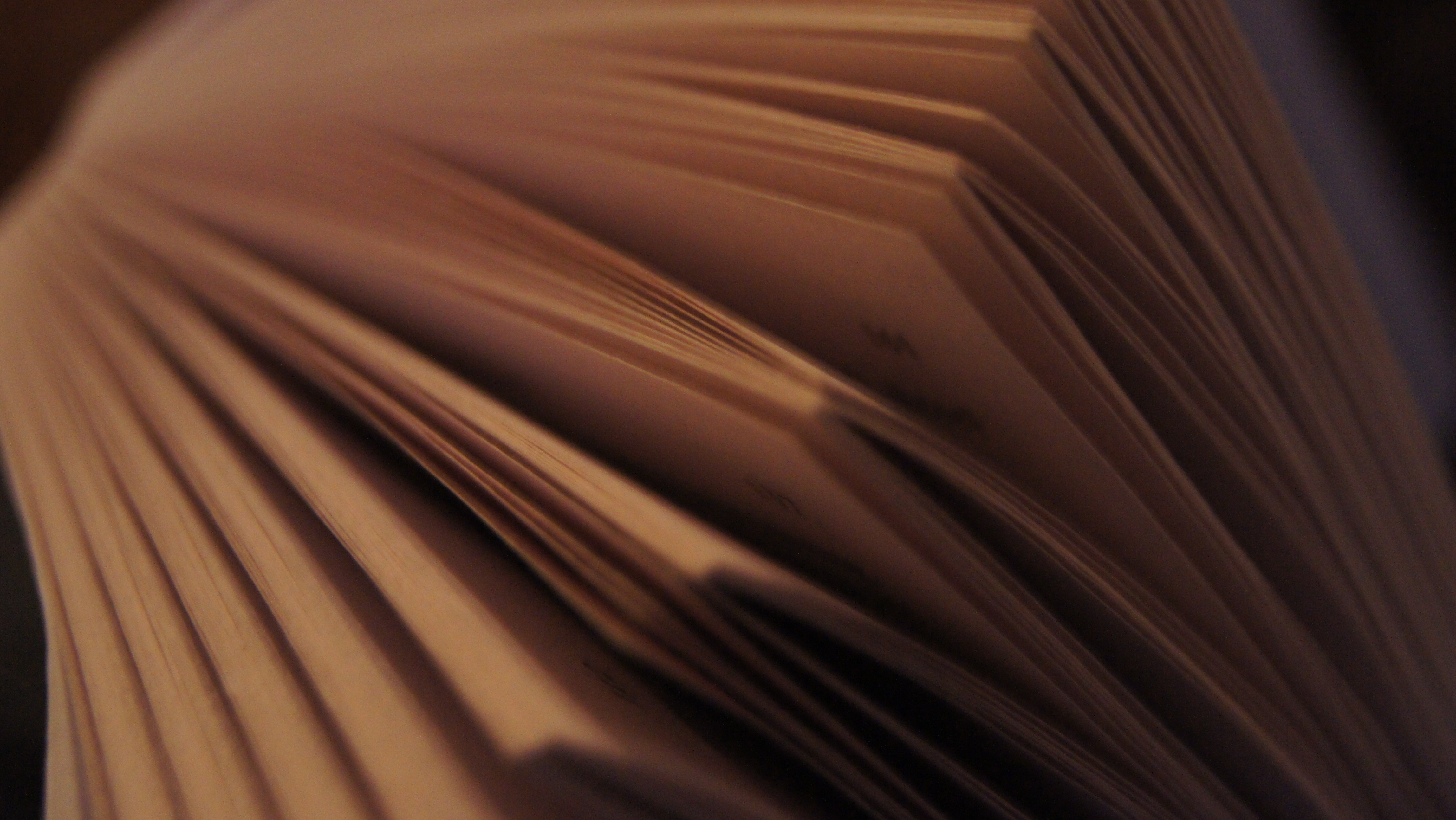  (Flickr)
