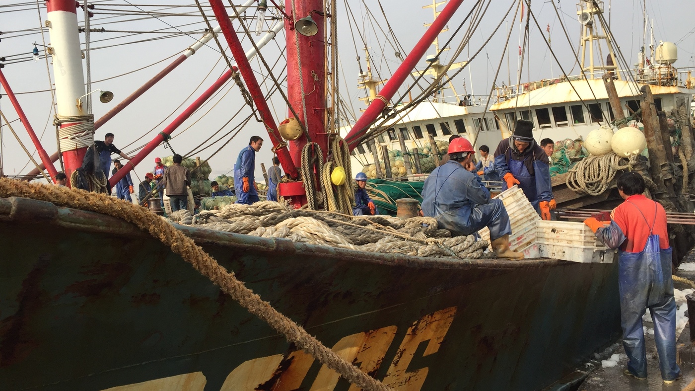 Could A Ban On Fishing In International Waters Become A Reality?