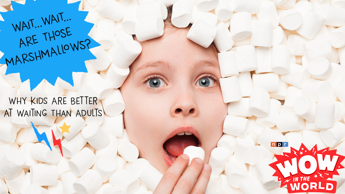 New scientific research suggests that kids these days are better than grownups when it comes to waiting. WHAT?! Join Mindy and Guy Raz in the waiting room of the dentist's office, as they explore how scientists used MARSHMALLOWS in the scientific experiment that lead to this discovery! (Wow in the World)