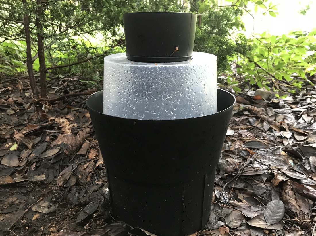 Building A Better Mosquito Trap — One Scientist Thinks He's Done It NPR