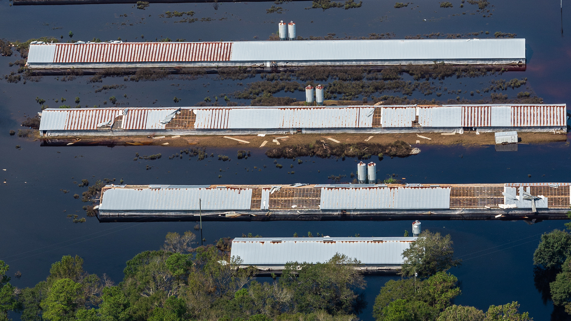 An industrial farm affected by flooding from Hurricane Florence in Duplin County, N.C.