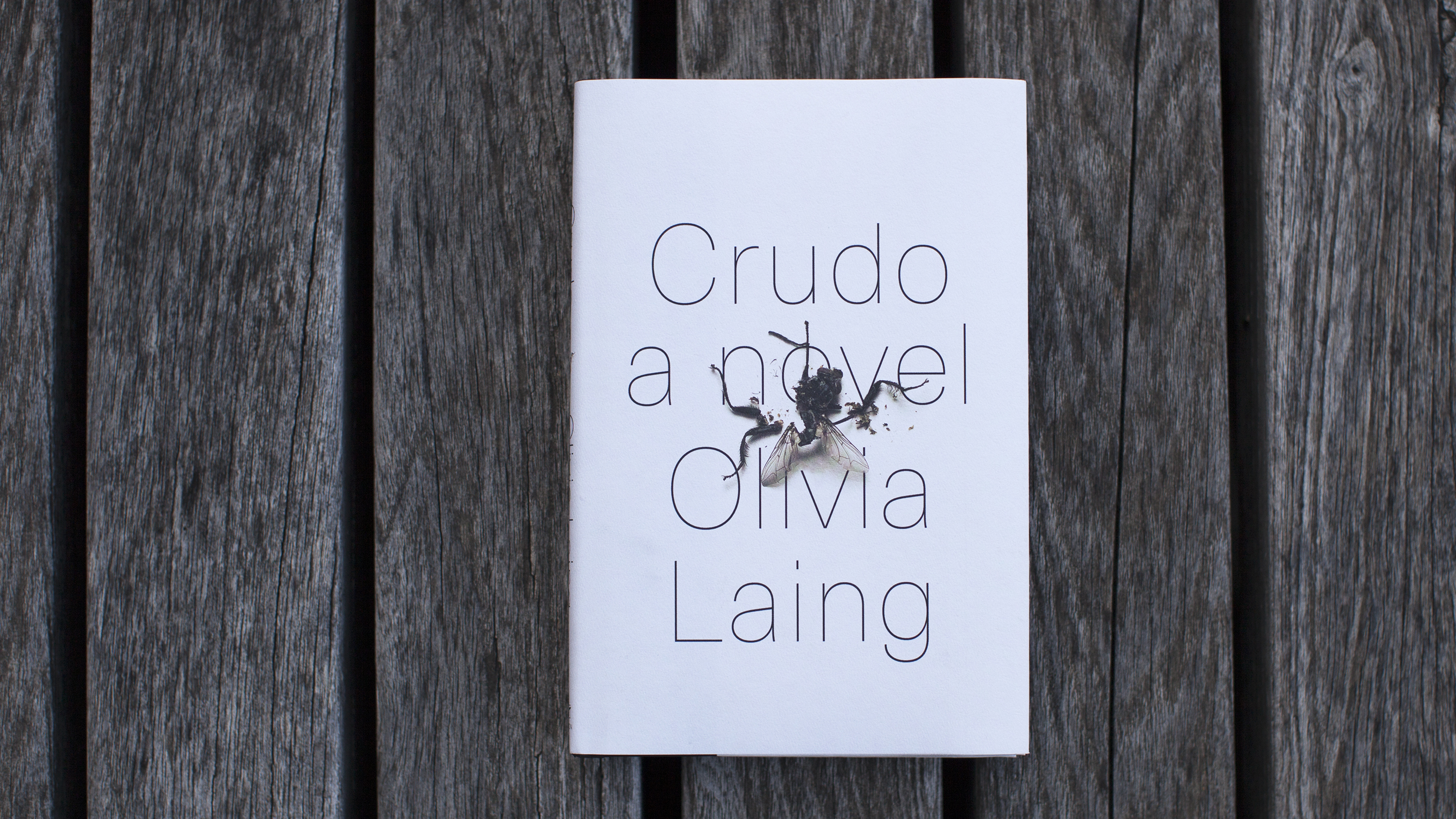 Crudo by Olivia Laing