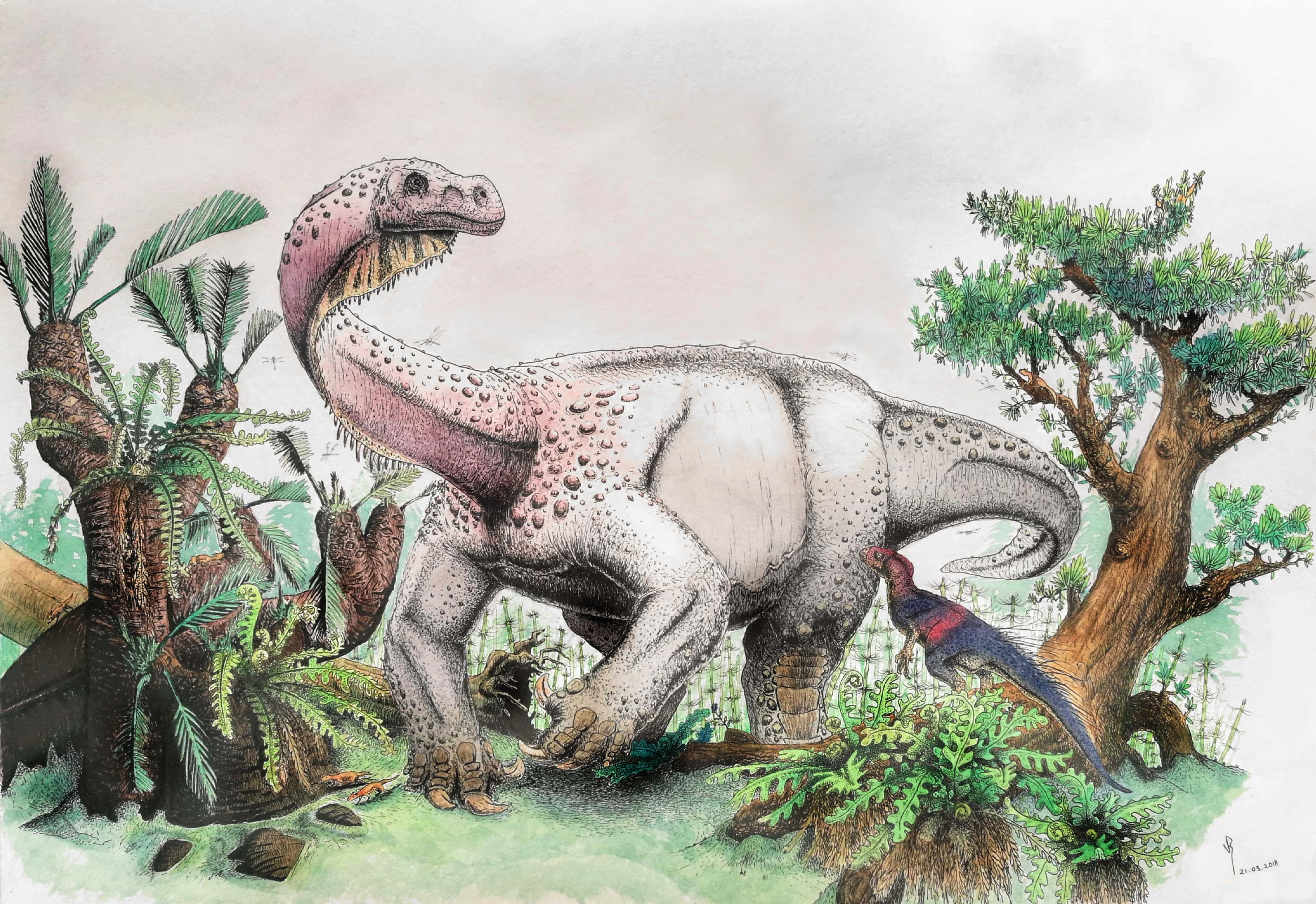 An artist's reconstruction of <em>Ledumahadi mafube, </em>which means "a giant thunderclap at dawn," foraging during the early Jurassic in South Africa.